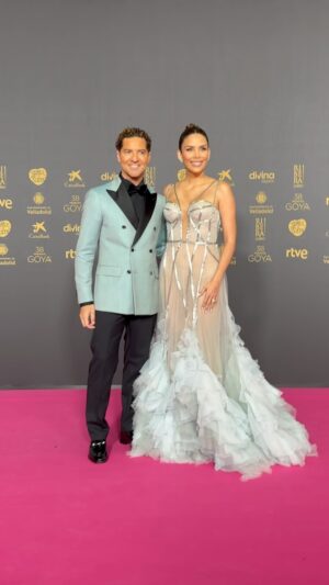 Rosanna Zanetti Instagram - 38' edición de los premios Goya @academiadecine junto a mi @davidbisbal ✨

🎥 @davidxdyp