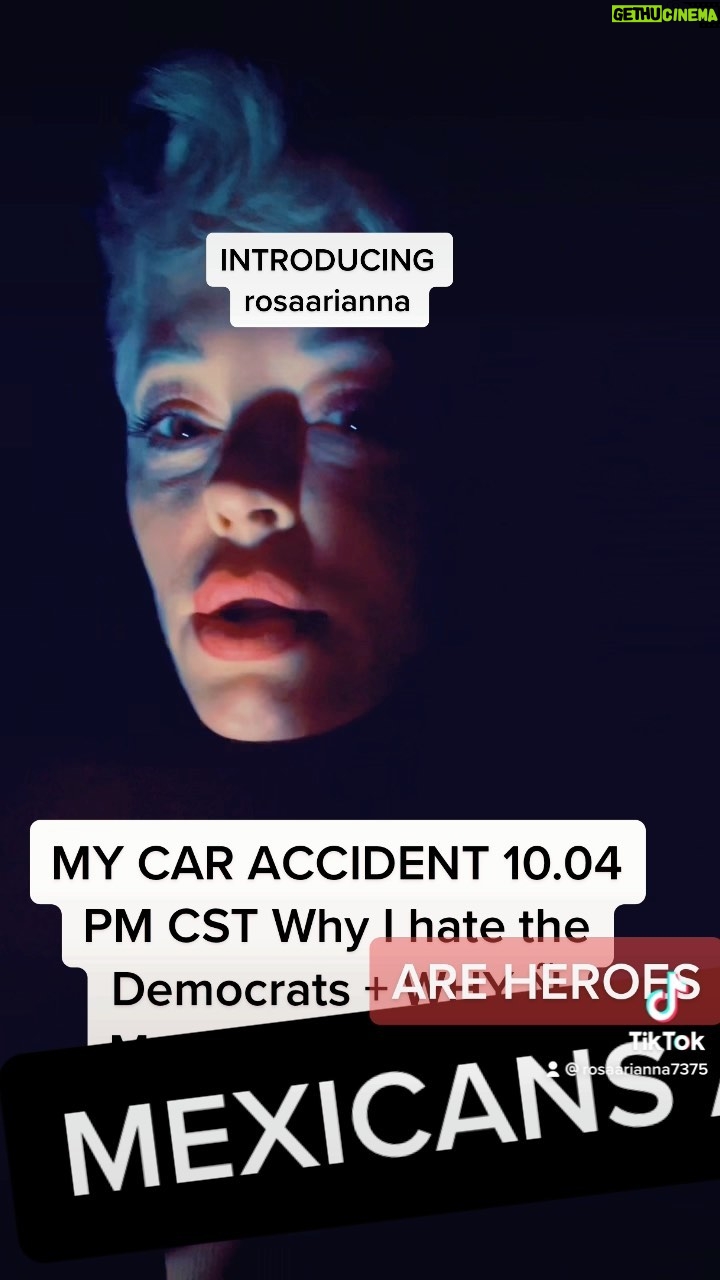 Rose McGowan Instagram - THE DEMOCRATS WHY MEXICANOS ARE HEROES. We Can all be better #rosarmy #flynoflagbutyours #butwsomuchlove