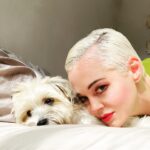 Rose McGowan Instagram - Hi everybody. I’ve been feeling shy lately. Nothing I think of posting feels meaningful enough, but this is my therapy dog for trauma and she brings me joy. Hope you are safe wherever you are. Xxxx Rose & Pearl🇲🇽 te amo!