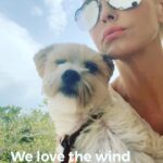 Rose McGowan Instagram - This is the first year of my life that I haven’t been hunted. I have been able to exist and learn what peace is, what sustained joy is. I never knew. I thought it was something for others, not me. What I’m fighting now is guilt for my calmness when so many are struggling to survive. I am not financially set by any means, but I’m learning how to be a business boss for myself. I am figuring out how to put what I called my useless talents but were in reality just my strengths. Now I am putting them all together so I can help more people. For today let’s think of our strengths and what we can do to use our talents in new ways. Scary, yes. Worth it? Absolutely. Xx R&P