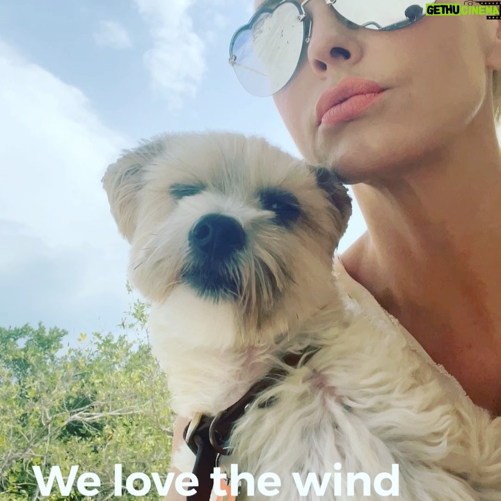 Rose McGowan Instagram - This is the first year of my life that I haven’t been hunted. I have been able to exist and learn what peace is, what sustained joy is. I never knew. I thought it was something for others, not me. What I’m fighting now is guilt for my calmness when so many are struggling to survive. I am not financially set by any means, but I’m learning how to be a business boss for myself. I am figuring out how to put what I called my useless talents but were in reality just my strengths. Now I am putting them all together so I can help more people. For today let’s think of our strengths and what we can do to use our talents in new ways. Scary, yes. Worth it? Absolutely. Xx R&P