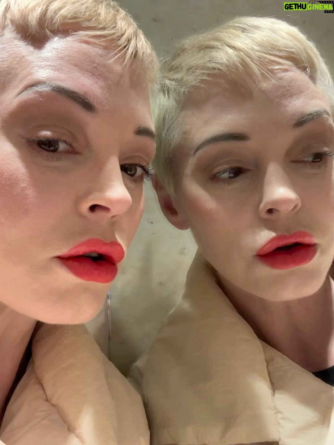 Rose McGowan Instagram - #paris #elevator #lift