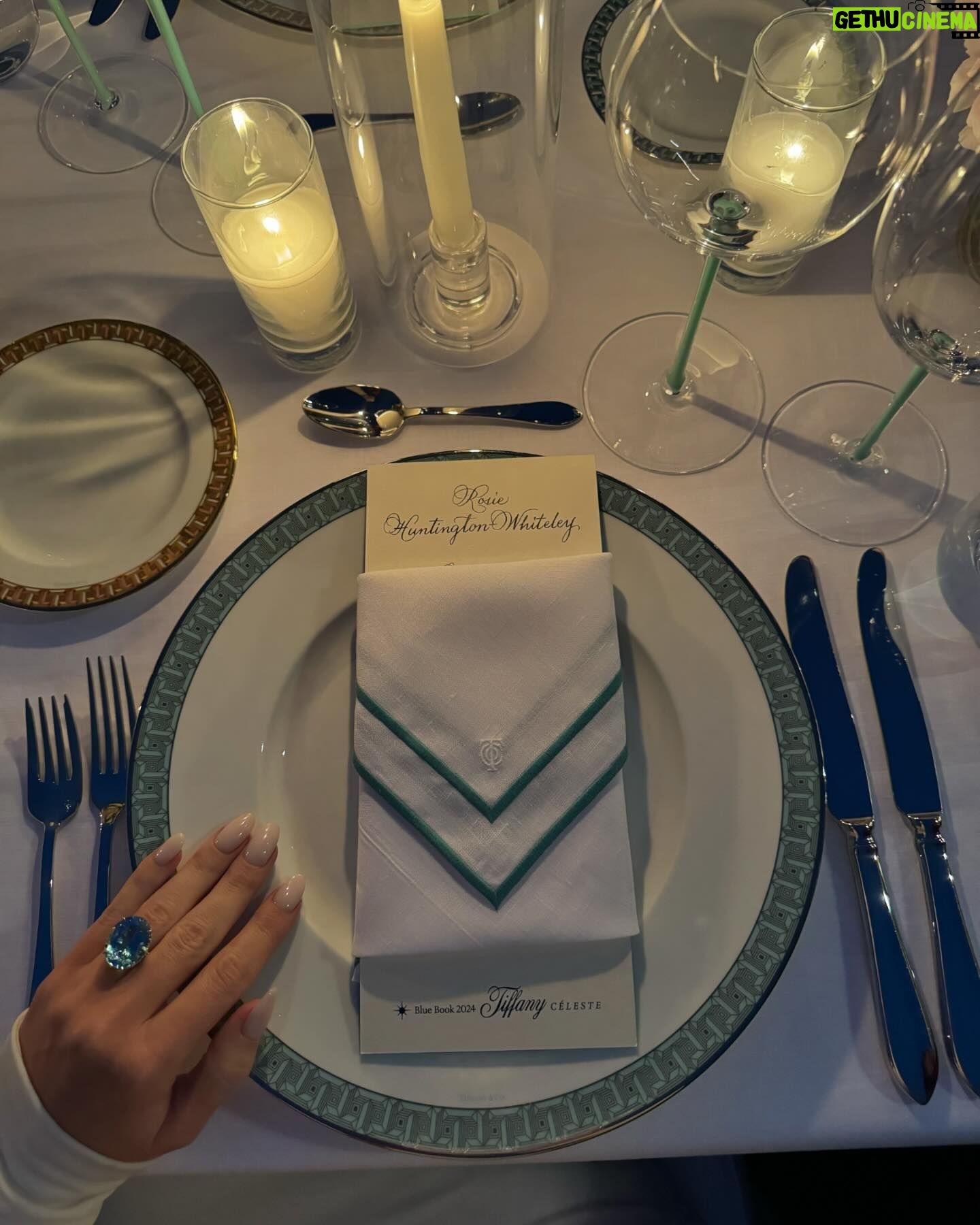 Rosie Huntington-Whiteley Instagram - #ad A sparkly night in Beverly Hills celebrating the unveiling of @tiffanyandco 2024 Blue Book Céleste 🩵#tiffanyhighjewelry #tiffanybluebook