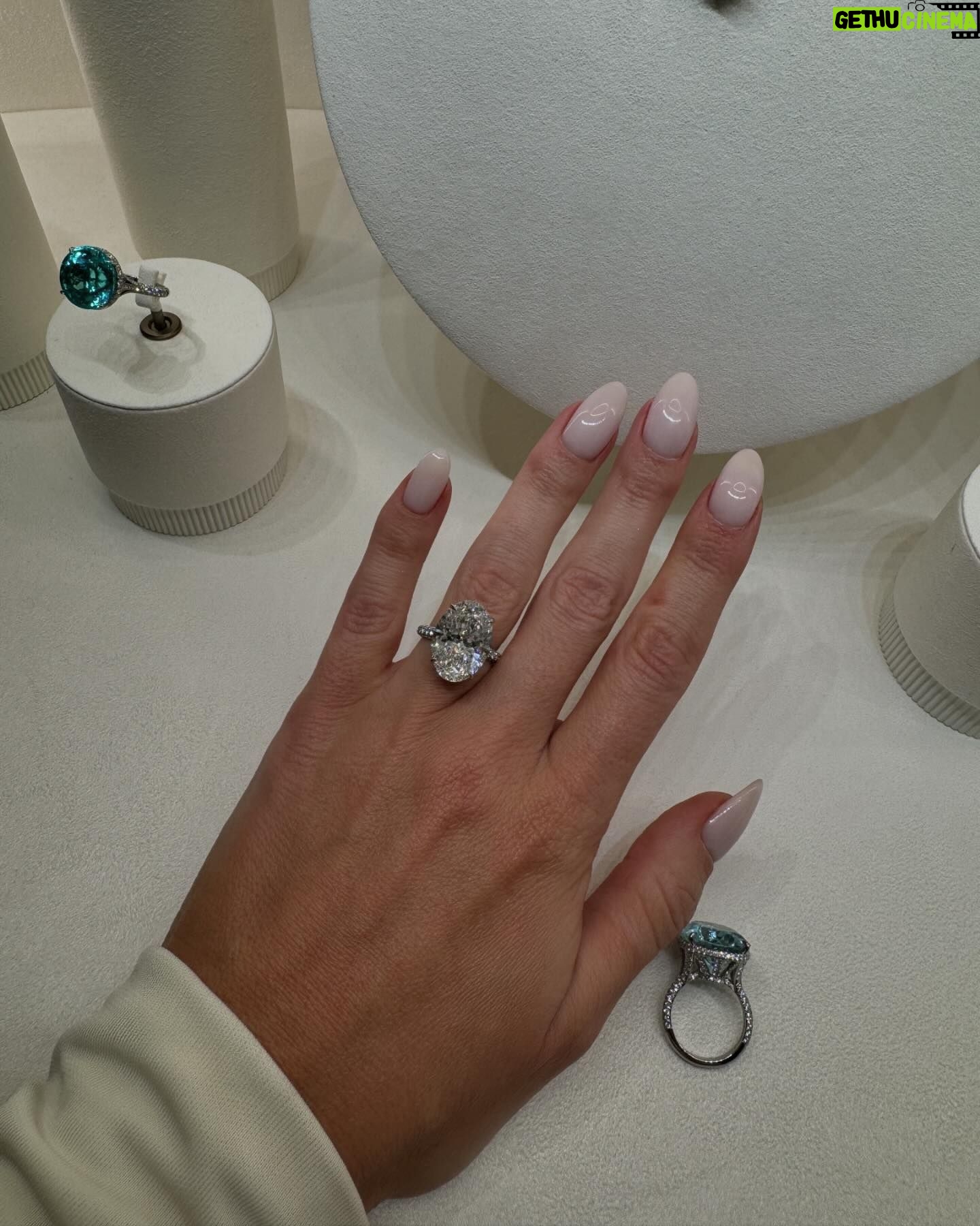 Rosie Huntington-Whiteley Instagram - #ad A sparkly night in Beverly Hills celebrating the unveiling of @tiffanyandco 2024 Blue Book Céleste 🩵#tiffanyhighjewelry #tiffanybluebook