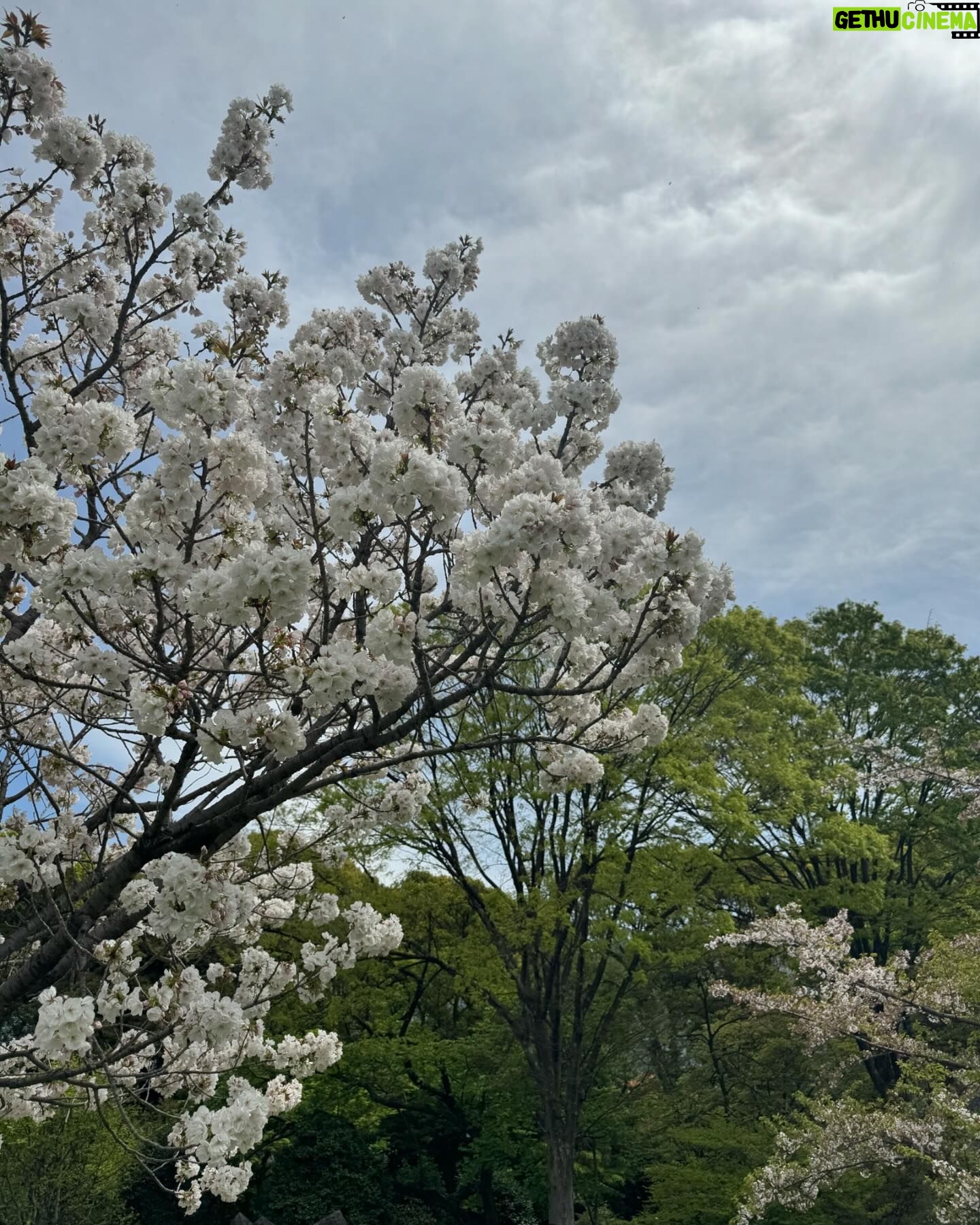 Rosie Huntington-Whiteley Instagram - Cherry Blossom SZN