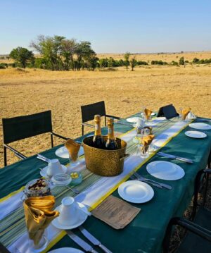 Rotem Sela Instagram - Some more serengeti vibes 🐆✨️