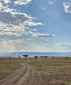 Rotem Sela Instagram - Some more serengeti vibes 🐆✨️