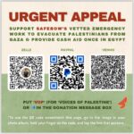 Rowan Blanchard Instagram – Support @the.safebow.collective’s vetted emergency work to evacuate Palestinians from Gaza & provide cash aid once in Egypt.