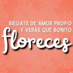 Roxana Castellanos Instagram - Riégate de amor propio y verás que bonito floreces 🥰🚿 . . #frases #frasesinspiradoras #love