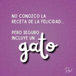 Roxana Castellanos Instagram - No conozco la receta de la felicidad... pero seguro incluye un gato 😍😺 #frase #gatos #pic #love