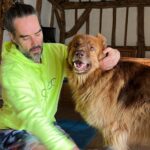 Russell Brand Instagram – March dump except it’s all animals🐾