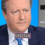 Russell Brand Instagram - Who can we rely on to stop WW3???? It’s David Cameron! #news