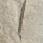 Russell Brand Instagram - Who lost this then #feather