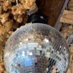 Russell Brand Instagram – A metaphor for the nature of God!? Does it hold the mystery to oneness and separateness? (Or not!?)

#discoball #god #faith #easter