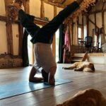 Russell Brand Instagram - Always at least two of em 🐾 #pets #yoga