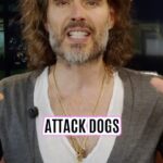 Russell Brand Instagram – If you’re seeing this you changed that setting in this app👀

#RFK #news