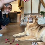 Russell Brand Instagram - ee’s a good boy though ain’t he