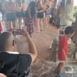 Russell Simmons Instagram - Incase u don't see this it's @andreharrell - only 4 thanksgivings ago filming me my brother @dannysimmonsjr @yellowkidslanty and kai kai at estatic dance in bali .:.i miss Andre im thankful for a lifetime of friendship God blessed us with his presence on earth ❤️ ' feeling sentimental and thankful to have my brother danny and others here this year #blessed fyi whether u are 6 or 66 it's good to dance ❤️