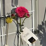 Ruth Connell Instagram - #interfloraworldcup2023 #messagesofkindness #interflora 🌺