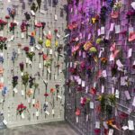 Ruth Connell Instagram - #interfloraworldcup2023 #messagesofkindness #interflora 🌺