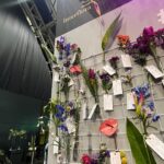 Ruth Connell Instagram - #interfloraworldcup2023 #messagesofkindness #interflora 🌺