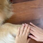Rutricha Phapakithi Instagram - สาวๆบ้านอัมพรโสภน👧🏻👧🏻👧🏻 x ลาเต้🐶💘 #23point5