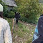 Ryu Hye-young Instagram - 시스테롱 & 몽에귀 🏞️🏡 #tvn #텐트밖은유럽