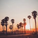 Sébastien Dubois Instagram - ☀️
