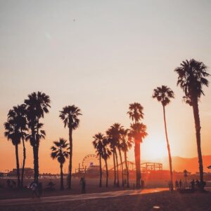 Sébastien Dubois Instagram - ☀️