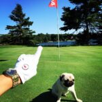 Sébastien Dubois Instagram - When the dog doesn't want to leave the green and thinks he can play golf with you 😂🐶⛳️ #pug