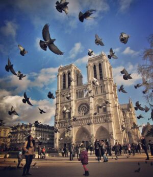Sébastien Dubois Instagram - Character is how you treat those who can do nothing for you. 🇫🇷 #paris #notredame