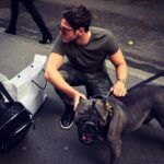 Sébastien Dubois Instagram - His name is TYGA 🐶🇫🇷 #dogstyle