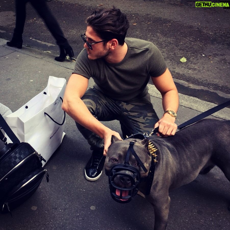 Sébastien Dubois Instagram - His name is TYGA 🐶🇫🇷 #dogstyle