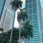 Sébastien Dubois Instagram - La vie est courte, mais elle nous laisse toujours du temps pour la courtoisie ☀️#miami #florida #miamibeach