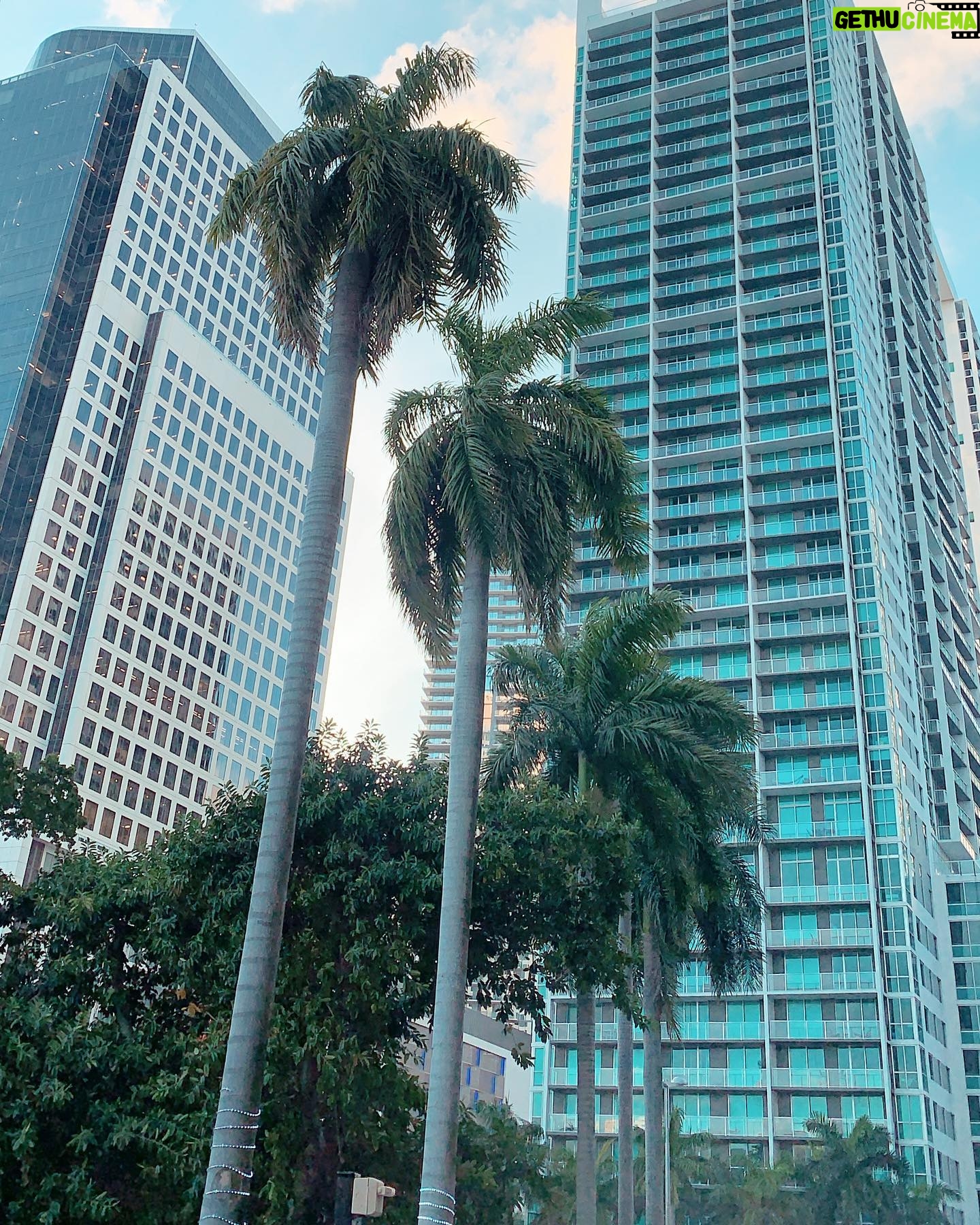 Sébastien Dubois Instagram - La vie est courte, mais elle nous laisse toujours du temps pour la courtoisie ☀️#miami #florida #miamibeach