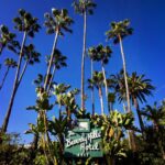 Sébastien Dubois Instagram - 🌴☀️ #beverlyhills
