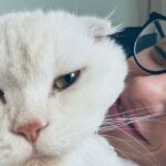 Sümeyye Aydoğan Instagram - bu hafta neler yaptım??? oynat bakalım ⏯️