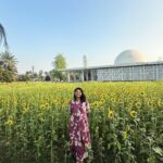 Sabnam Faria Instagram - From Khulna, with love 💛🌻🌼