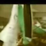 Sabrien Instagram - القدس هترجعلنا #انقذوا_حي_الشيخ_الجراح 🇵🇸 #Palestine #SavePalestine