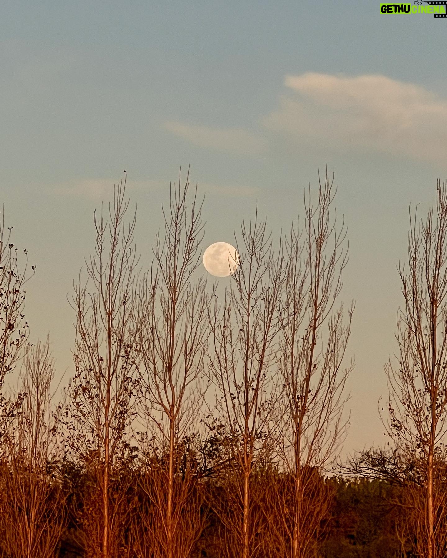 Sabrina Garciarena Instagram - El atardecer 🧡🌕 Siempre un momento mágico 🧡#lunallena