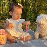 Sabrina Garciarena Instagram - TITI 🤍 Te extraño todos los días 🤍 5/9/2007 - 8/11/2023 ♾️ #felizdiadelanimal