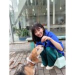 Sae Okazaki Instagram - セブン&アイホールディングス 「セブンマイルプログラム」 新しいムービーが公開されました📽️ 皆さんもこれを観て日々の小さな 幸せ、見つけていきましょう🕊️ もふもふのハート尻尾のワンちゃんと！！ 可愛かったなぁ！！ 是非チェックしてみてください！ #セブンマイルプログラム #7iD会員3000万人突破キャンペーン