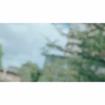 Sae Okazaki Instagram - セブン&アイホールディングス 「セブンマイルプログラム」 新しいムービーが公開されました📽️ 皆さんもこれを観て日々の小さな 幸せ、見つけていきましょう🕊️ もふもふのハート尻尾のワンちゃんと！！ 可愛かったなぁ！！ 是非チェックしてみてください！ #セブンマイルプログラム #7iD会員3000万人突破キャンペーン