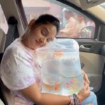 Sai Gayatri Instagram - My kinda Sundays b like😍🧿🐠🐟🐳🦑🪼 . #aquarium #lover
