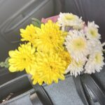 Sakshi Vaidya Instagram - this growing fascination with flowers and their beauty. A hope to become like one, wild, free and drenched in the sun🌻