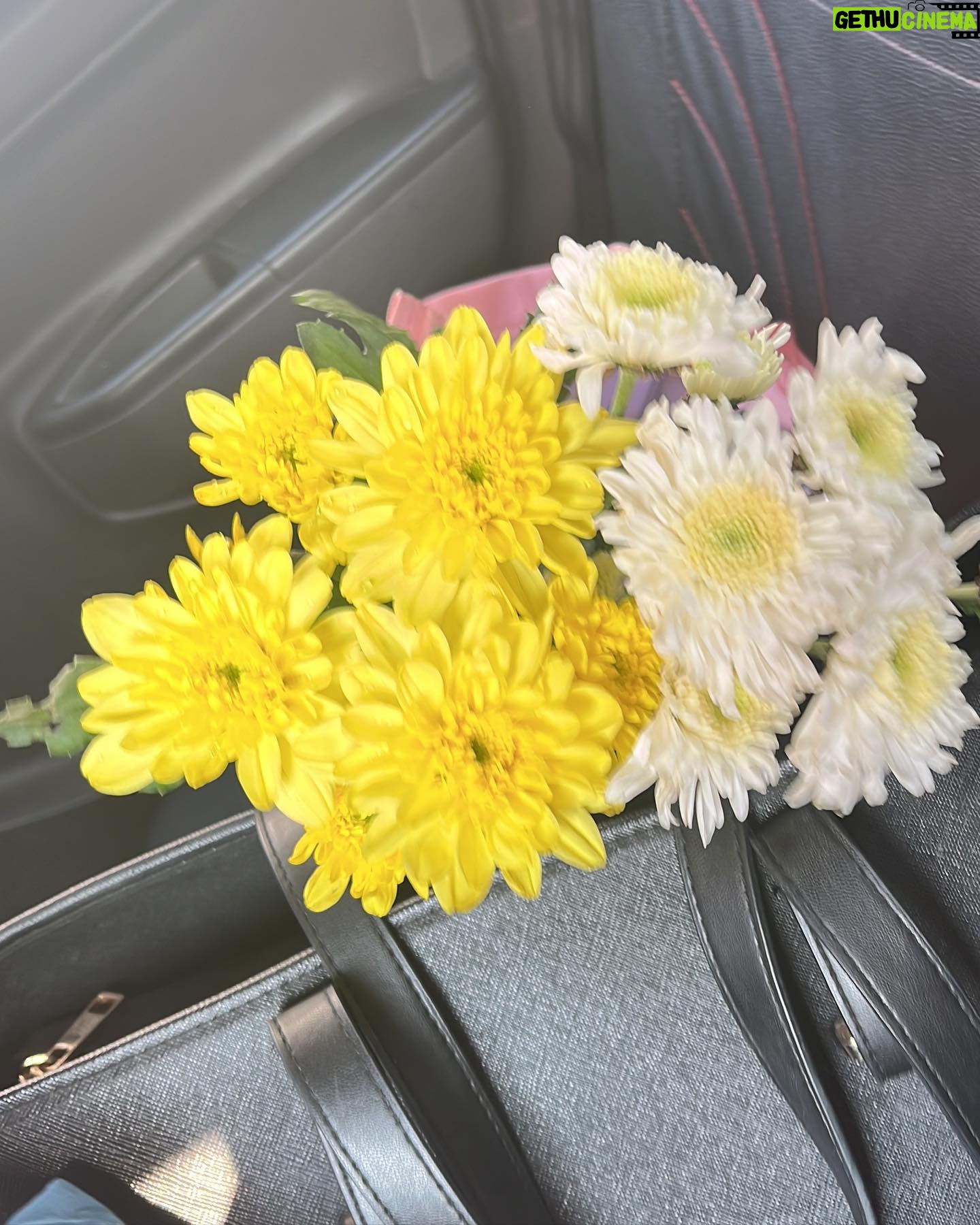 Sakshi Vaidya Instagram - this growing fascination with flowers and their beauty. A hope to become like one, wild, free and drenched in the sun🌻