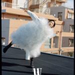 Sakura Ando Instagram - @wmagchina Photographer: Min Hyunwoo @minhyunwoo_ 谢谢！캄사함니다！ありがとう！ Planning, Visuals: Renee Yam @is_reneeyam Stylist: Jang Heejun @jangheejunn Hair stylist: KOICHI NISHIMURA(VOW-VOW) @koichi_nishimura_ Make-up artist: TOMOHIRO MURAMATSU @tomohiro_makeup Coordinator, Producer : Yu Peng (A WHALE) @dkkjr Text Supervision: Lily Lee Photographer Assistant: Kim Seowoo Styling Assistant: Kim Jueun, Xiaopangrenerer Writer: Faye Zhen @fayezhen Photographer Production: MAKEMAKE Studio Execution: Sure Photography Assistant: Kim Seowoo Styling Assistant: Kim Jueun, Kaya Chan
