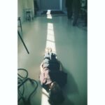 Sakura Ando Instagram - 💫🤎💫