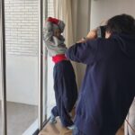 Sakura Ando Instagram - @onkul_magazine 表紙もやってます🐻 みてちょ💛