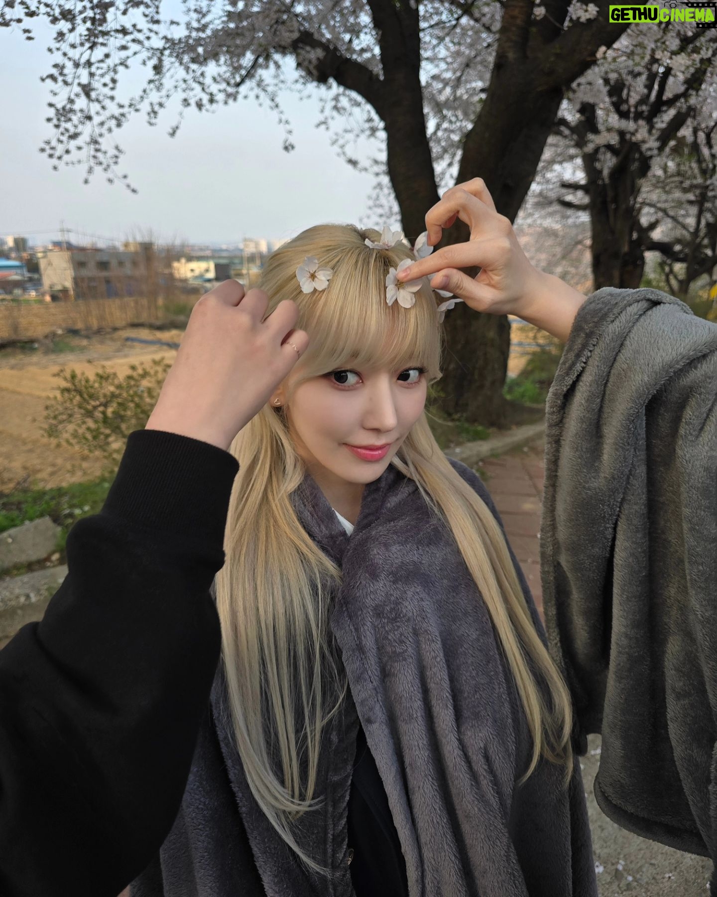 Sakura Miyawaki Instagram - 봄이다 🌸 새로운 이것저것